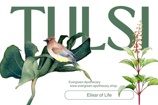 Herbalism Classes