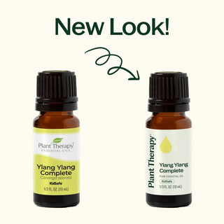 Ylang Ylang Complete Essential Oil 10 mL
