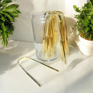 Stainless Steel Tongue Scraper | Dental Bestseller