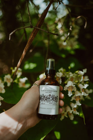 Queen of Hungary's Water, Hydrosol, 4oz