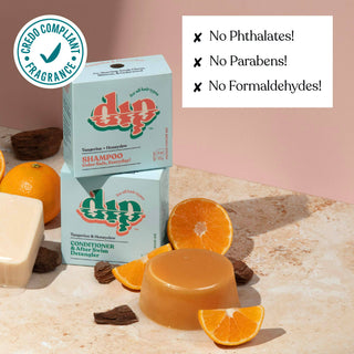 Dip Conditioner Bar & After Swim Detangler - Tangerine & Honeydew