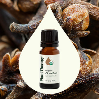 Organic Clove Bud Essential Oil 10 mL