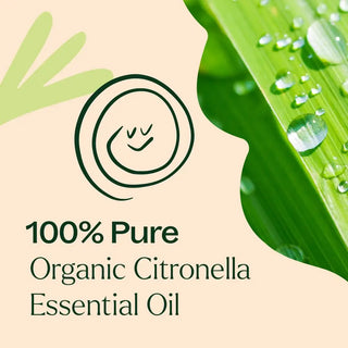Organic Citronella Essential Oil 10 mL