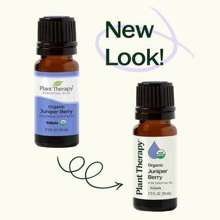 Organic Juniper Berry Essential Oil 10 mL