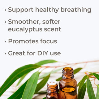 Eucalyptus Radiata Essential Oil 10 mL