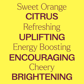 Sweet Orange Essential Oil 10 mL