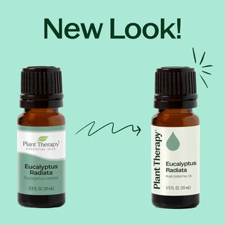 Eucalyptus Radiata Essential Oil 10 mL