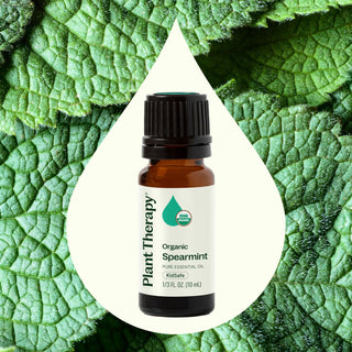 Organic Spearmint Essential Oil 10 mL