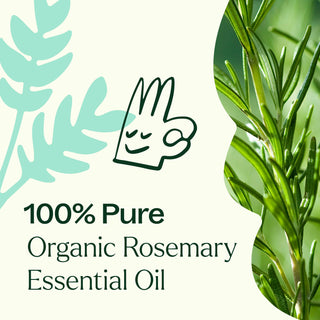 Organic Rosemary 1,8-Cineole Essential Oil 10 mL