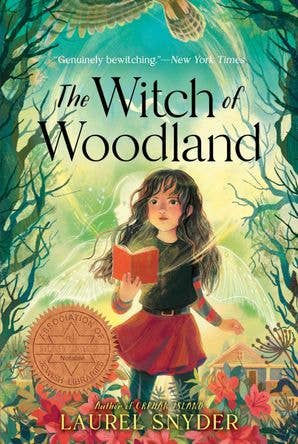 The Witch of Woodland :  Laurel Snyder