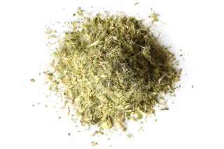 Blessed Thistle (Medicago sativa) Organic