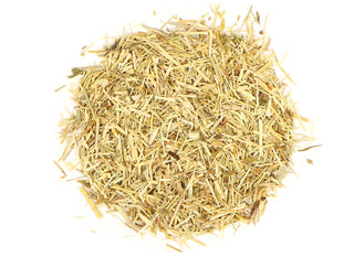 Centaury - Centaurium erythraea - Organic