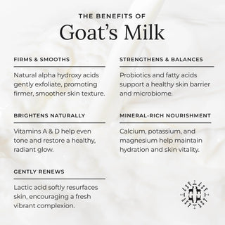 Goat's Milk Moisturizer Little Seed Farm