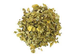 Moringa- Moringa oleifera (Organic)