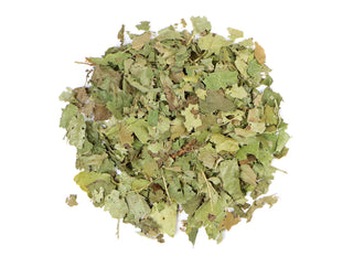 Witch Hazel Leaf - Hamamelis virginiana - Organic