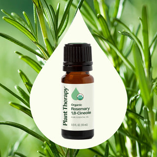 Organic Rosemary 1,8-Cineole Essential Oil 10 mL