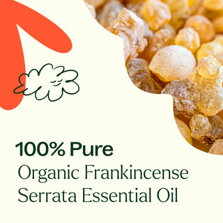 Organic Frankincense Serrata Essential Oil 10 mL