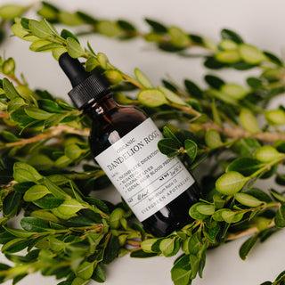 Dandelion Root Tincture, 2oz, Alcohol Free