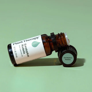 Eucalyptus Radiata Essential Oil 10 mL