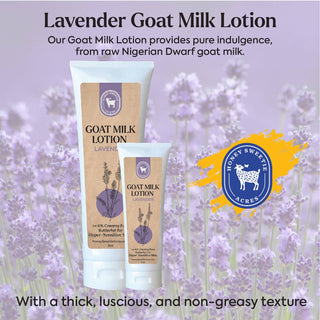 Lavender EO Goat Milk Lotion - 4 oz