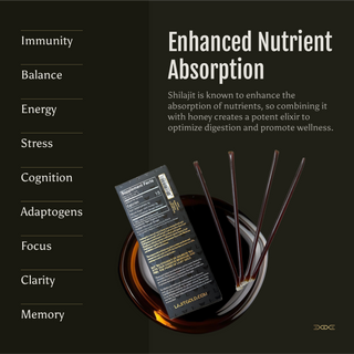 Shilajit Infused Honey Sticks