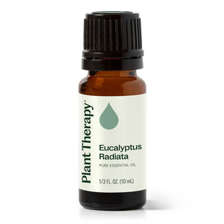 Eucalyptus Radiata Essential Oil 10 mL