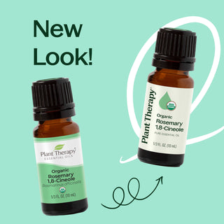 Organic Rosemary 1,8-Cineole Essential Oil 10 mL