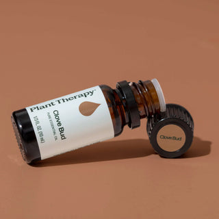 Clove Bud Essential Oil 10 mL
