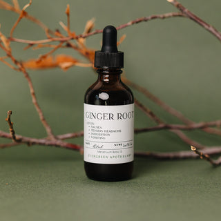 Ginger Root Tincture, for Nausea, 2oz