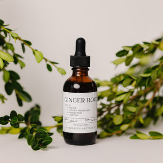 Ginger Root Tincture, for Nausea, 2oz