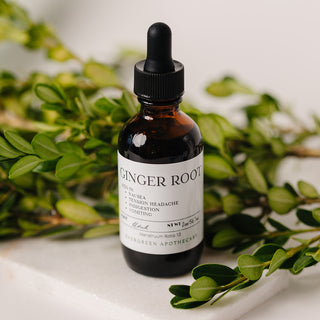 Ginger Root Tincture, for Nausea, 2oz