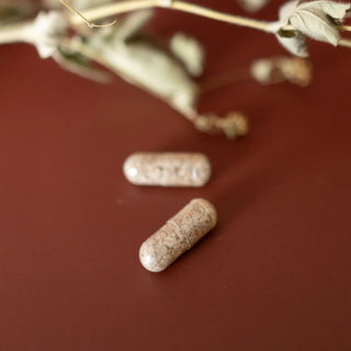 Milk Thistle Capsules