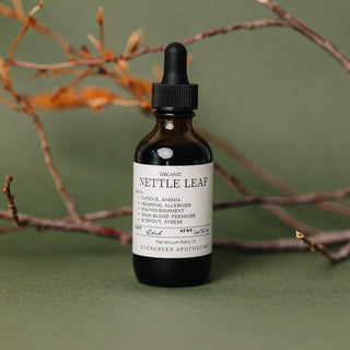Nettle Leaf Tincture, Herbs for Symptoms No. 10
