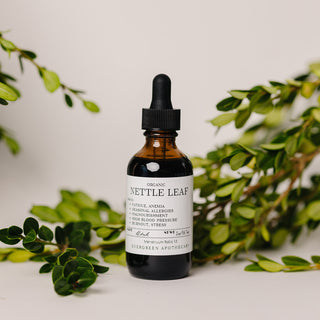 Nettle Leaf Tincture, Herbs for Symptoms No. 10