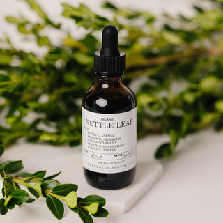 Nettle Leaf Tincture, Herbs for Symptoms No. 10