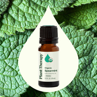 Organic Spearmint Essential Oil 10 mL