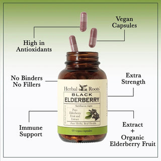 Herbal Roots Black Elderberry Capsules