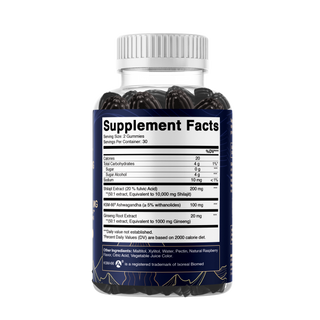 Vitamatic Shilajit with KSM-66® Ashwagandha & Ginseng-60 Ct