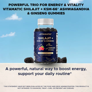 Vitamatic Shilajit with KSM-66® Ashwagandha & Ginseng-60 Ct