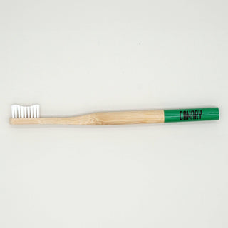 Bamboo Toothbrush: 1 Brush - Green Tip