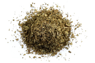 Lady's Mantle (Organic) Alchemilla vulgaris