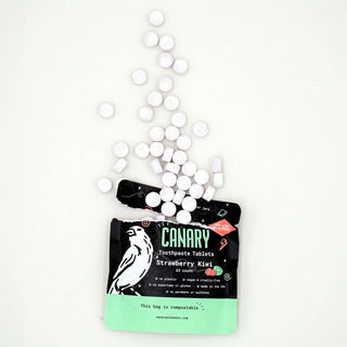 Strawberry + Kiwi Toothpaste Tablets - NEW & IMPROVED!: 1 month sample pouch - 63 tablets