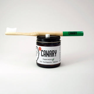 Bamboo Toothbrush: 1 Brush - Green Tip