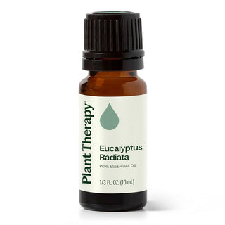 Eucalyptus Radiata Essential Oil 10 mL