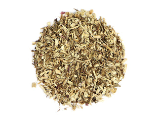 Echinacea Purpurea Organic