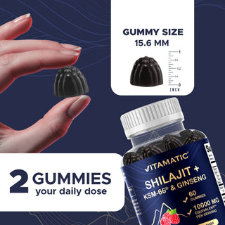 Vitamatic Shilajit with KSM-66® Ashwagandha & Ginseng-60 Ct