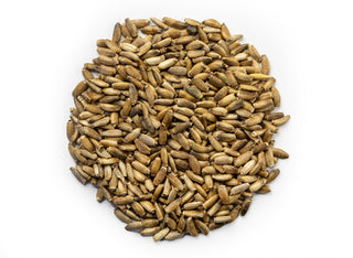 Milk Thistle (Organic) - Silybum marianum