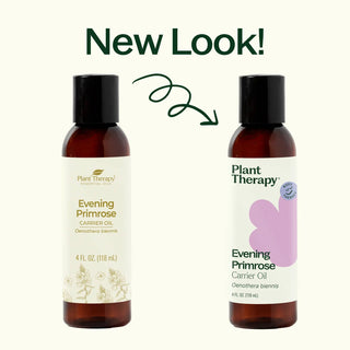 Evening Primrose Carrier Oil 4 oz