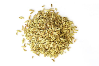 Fennel (Organic) Foeniculum vulgare