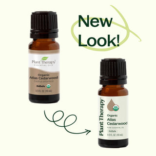 Organic Atlas Cedarwood Essential Oil 10 mL